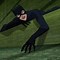 Image result for Catwoman in New Batman