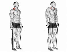 Image result for Resistance Band Exercises