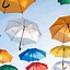 Image result for Umbrella Corporation Phone Wallpaper 4K
