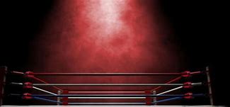 Image result for Wrestling Animation