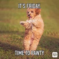 Image result for Friday Eve Puppy Meme