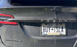 Image result for Tesla License Plate