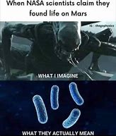 Image result for NASA Aliens Memes