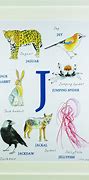 Image result for Animal Alphabet J