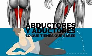 Image result for abductor