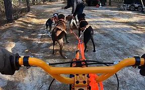Image result for Rig Races Wallpaper