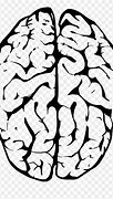 Image result for Human Brain Clipart Black and White