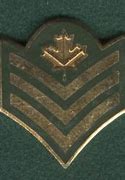 Image result for Canadian Army Rank Structure