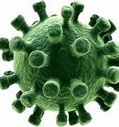 Image result for Covid 19 Virus PNG