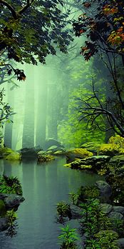 Image result for iPhone Nature Wallpaper
