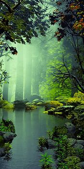 Image result for Nature Phone Wallpaper