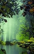 Image result for iPhone Live Wallpaper Nature