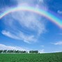 Image result for Rainbow Pics