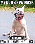 Image result for Funny Mask Animal Memes