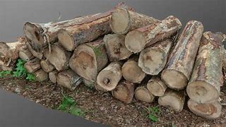 Image result for Wood Log Emoji