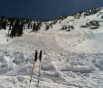 Image result for Avalanche Takes Out Parking at Alta Ski Resort