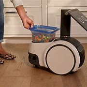 Image result for Types of Home Robots