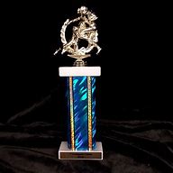 Image result for Sports Trophies and Awards