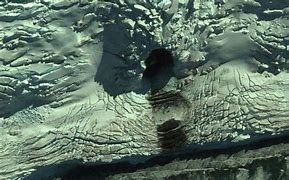 Image result for Mysterious Antarctica