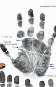 Image result for Forensic Fingerprint Analysis
