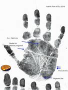 Image result for Forensic Science Fingerprints