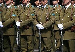 Image result for carabinero