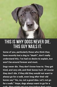 Image result for Dog Death Quotes