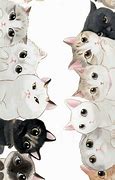 Image result for Crazy Cat Lady Wallpaper