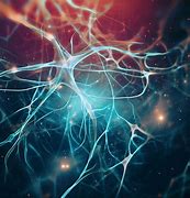 Image result for Brain Neurons Wallpaper