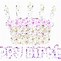 Image result for Happy Birthday Glitter Cards
