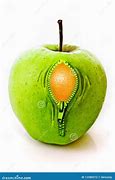 Image result for Apple to Zipper