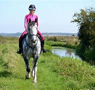 Image result for Horse Hacking