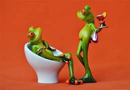 Image result for Funny Frog Wallpaper
