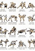 Image result for All Types of Martial Arts