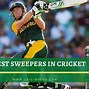 Image result for Cricket Lines Drawing Play a Sweep or Cut Shots
