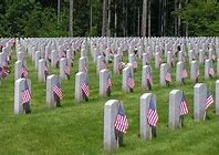 Image result for Small American Flags On Sticks