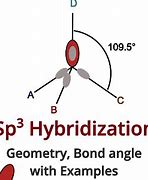 Image result for Sp3 Hybridization Examples