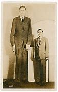 Image result for Robert Wadlow Shaquille O'Neal