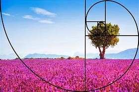 Image result for Golden Ratio Composition Photography