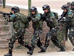 Image result for PLA Special Forces