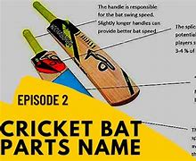 Image result for Cricket Bat Blade Parts