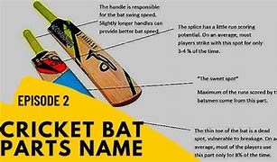 Image result for Bat for Cricket