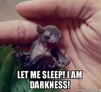 Image result for Sleep Like a Bat Meme