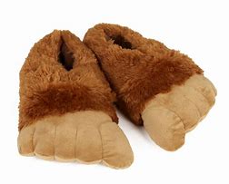 Image result for Giant Shoe Slippers