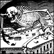 Image result for Carthaginian Giant Skeleton