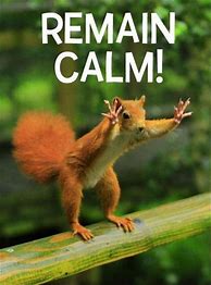 Image result for Keep Calm Funny