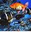 Image result for Fish Screensavers Free Downloads