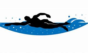 Image result for Adult Swimming Clip Art