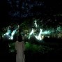 Image result for Osaka Botanical Garden