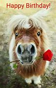 Image result for Cute Happy Birthday Horse